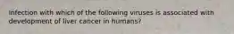 Infection with which of the following viruses is associated with development of liver cancer in humans?