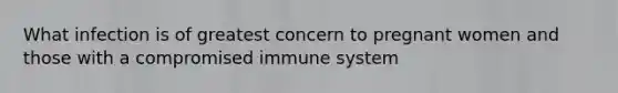 What infection is of greatest concern to pregnant women and those with a compromised immune system