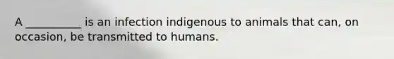 A __________ is an infection indigenous to animals that can, on occasion, be transmitted to humans.