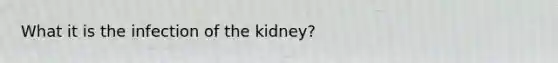 What it is the infection of the kidney?