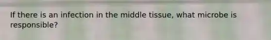 If there is an infection in the middle tissue, what microbe is responsible?