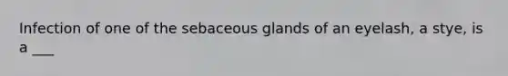 Infection of one of the sebaceous glands of an eyelash, a stye, is a ___