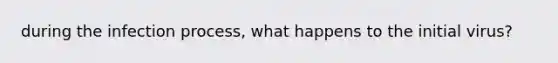 during the infection process, what happens to the initial virus?