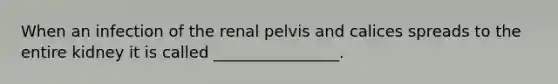 When an infection of the renal pelvis and calices spreads to the entire kidney it is called ________________.