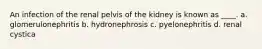 An infection of the renal pelvis of the kidney is known as ____. a. glomerulonephritis b. hydronephrosis c. pyelonephritis d. renal cystica