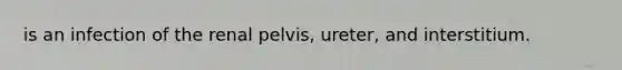 is an infection of the renal pelvis, ureter, and interstitium.