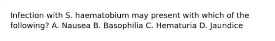 Infection with S. haematobium may present with which of the following? A. Nausea B. Basophilia C. Hematuria D. Jaundice