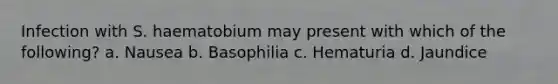 Infection with S. haematobium may present with which of the following? a. Nausea b. Basophilia c. Hematuria d. Jaundice