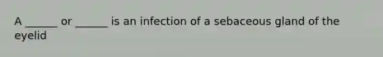 A ______ or ______ is an infection of a sebaceous gland of the eyelid