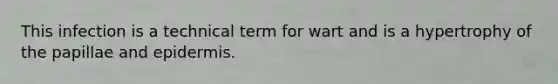 This infection is a technical term for wart and is a hypertrophy of the papillae and epidermis.