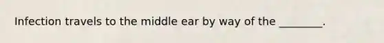 Infection travels to the middle ear by way of the ________.