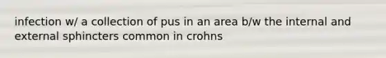 infection w/ a collection of pus in an area b/w the internal and external sphincters common in crohns