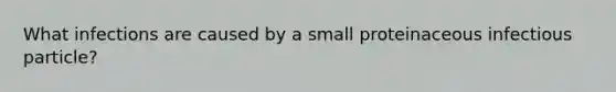 What infections are caused by a small proteinaceous infectious particle?