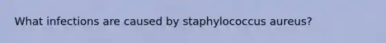 What infections are caused by staphylococcus aureus?