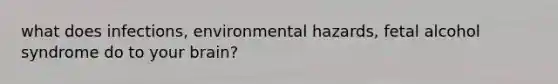 what does infections, environmental hazards, fetal alcohol syndrome do to your brain?