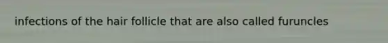 infections of the hair follicle that are also called furuncles