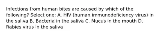 Infections from human bites are caused by which of the following? Select one: A. HIV (human immunodeficiency virus) in the saliva B. Bacteria in the saliva C. Mucus in the mouth D. Rabies virus in the saliva