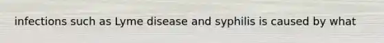 infections such as Lyme disease and syphilis is caused by what