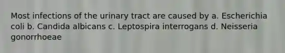 Most infections of the urinary tract are caused by a. Escherichia coli b. Candida albicans c. Leptospira interrogans d. Neisseria gonorrhoeae