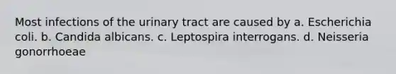 Most infections of the urinary tract are caused by a. Escherichia coli. b. Candida albicans. c. Leptospira interrogans. d. Neisseria gonorrhoeae