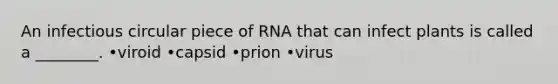 An infectious circular piece of RNA that can infect plants is called a ________. •viroid •capsid •prion •virus