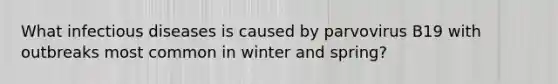 What infectious diseases is caused by parvovirus B19 with outbreaks most common in winter and spring?