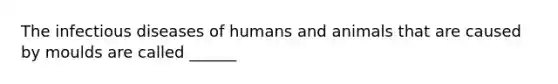 The infectious diseases of humans and animals that are caused by moulds are called ______