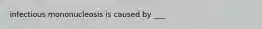 infectious mononucleosis is caused by ___