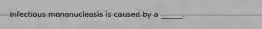 Infectious mononucleosis is caused by a ______.