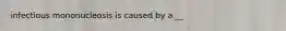 infectious mononucleosis is caused by a __