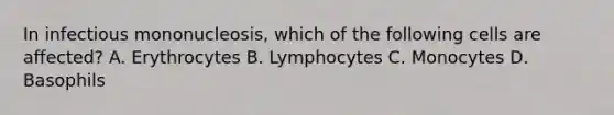 In infectious mononucleosis, which of the following cells are affected? A. Erythrocytes B. Lymphocytes C. Monocytes D. Basophils