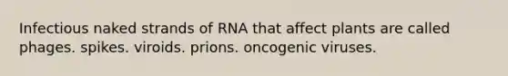 Infectious naked strands of RNA that affect plants are called phages. spikes. viroids. prions. oncogenic viruses.