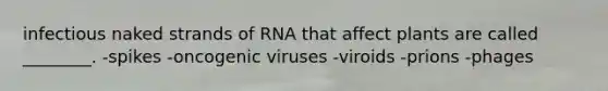 infectious naked strands of RNA that affect plants are called ________. -spikes -oncogenic viruses -viroids -prions -phages