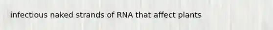 infectious naked strands of RNA that affect plants