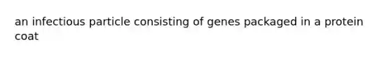 an infectious particle consisting of genes packaged in a protein coat