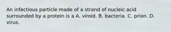 An infectious particle made of a strand of nucleic acid surrounded by a protein is a A. viroid. B. bacteria. C. prion. D. virus.