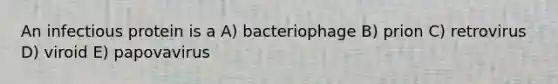 An infectious protein is a A) bacteriophage B) prion C) retrovirus D) viroid E) papovavirus