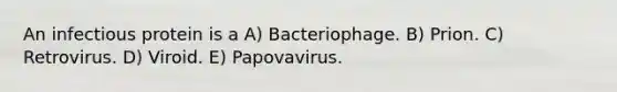 An infectious protein is a A) Bacteriophage. B) Prion. C) Retrovirus. D) Viroid. E) Papovavirus.