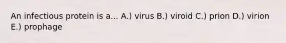 An infectious protein is a... A.) virus B.) viroid C.) prion D.) virion E.) prophage