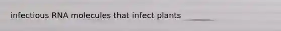 infectious RNA molecules that infect plants