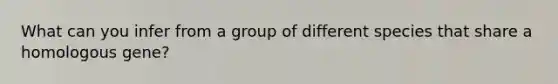 What can you infer from a group of different species that share a homologous gene?