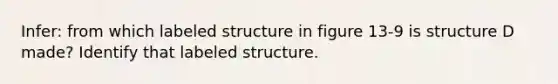 Infer: from which labeled structure in figure 13-9 is structure D made? Identify that labeled structure.