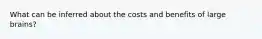 What can be inferred about the costs and benefits of large brains?