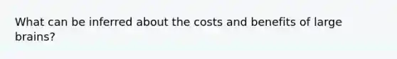 What can be inferred about the costs and benefits of large brains?