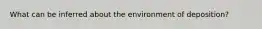 What can be inferred about the environment of deposition?