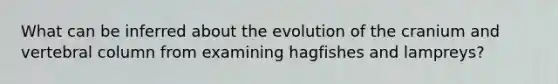 What can be inferred about the evolution of the cranium and vertebral column from examining hagfishes and lampreys?