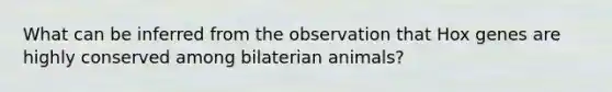 What can be inferred from the observation that Hox genes are highly conserved among bilaterian animals?