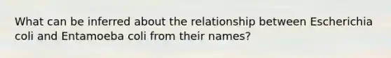 What can be inferred about the relationship between Escherichia coli and Entamoeba coli from their names?