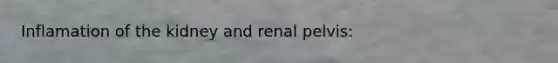 Inflamation of the kidney and renal pelvis: