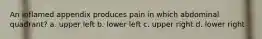 An inflamed appendix produces pain in which abdominal quadrant? a. upper left b. lower left c. upper right d. lower right